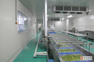 武汉东西湖区源香食品产业园配套厂房及厦门脚手架出租优惠信息