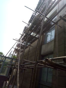 嘉定城区钢管与毛竹脚手架搭建及租赁市场分析 上海与厦门价格与服务对比