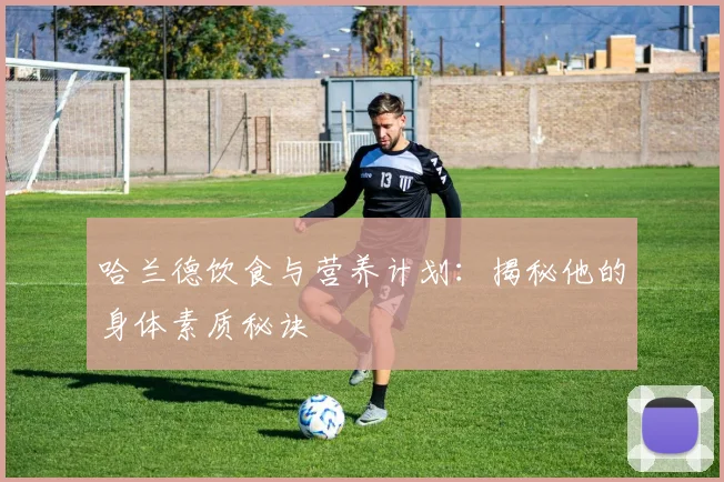 哈兰德饮食与营养计划：揭秘他的身体素质秘诀