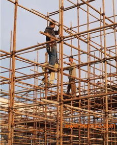 厦门钢管脚手架出租 厂家、价格与市场概览